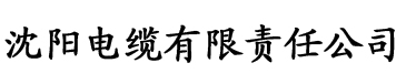 91香蕉App在线电缆厂logo